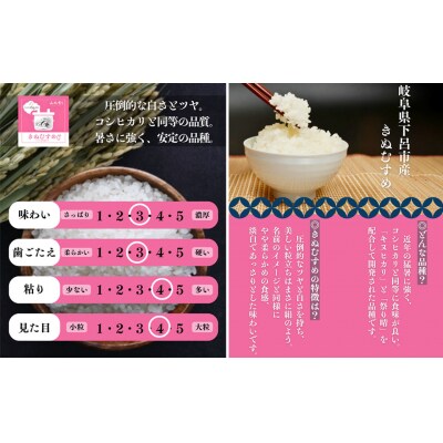 【2025年産】きぬむすめ 5kg(5kg×1袋)【かみはら山水農園】【28-12】