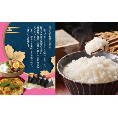 【2025年産】きぬむすめ 5kg(5kg×1袋)【かみはら山水農園】【28-12】