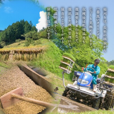 【2025年産】きぬむすめ 5kg(5kg×1袋)【かみはら山水農園】【28-12】