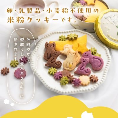 ビーガン 米粉クッキー缶 2缶セット(100g×2) 【96-8】