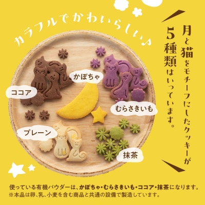ビーガン 米粉クッキー缶 2缶セット(100g×2) 【96-8】