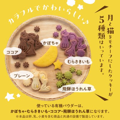 ビーガン 米粉クッキー缶 2缶セット(100g×2) 【96-8】