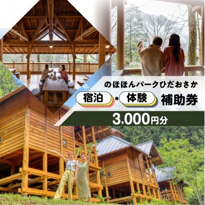 【のほほんパークひだおさか】宿泊・体験補助券(3,000円分)キャンプ 体験【a030-1】