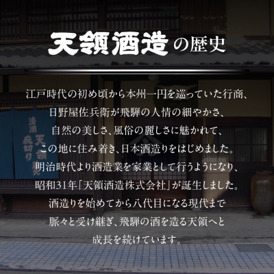 飛騨の梅酒(日本酒仕込み)500ml×1 梅酒 うめ酒 天領酒造【2-42】