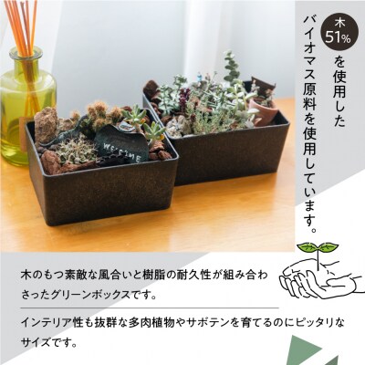 【木】KITOHAKO グリーンボックス 1個　小物入れ ケース ボックス【103-2【1】】