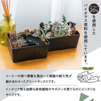 【コーヒーグラウンズ】KITOHAKO グリーンボックス 1個　小物入れ ケース【103-2【2】】