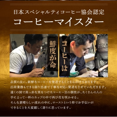 カフェオレベース4種&ドリップアソート コーヒー 珈琲 【17-15】