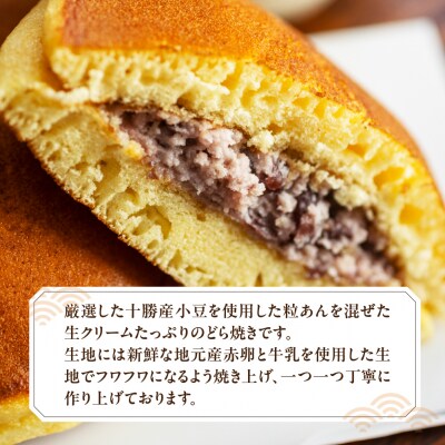 【2026年6月配送】(箱入り)幸月の生どら　10個(冷凍) どらやき 和菓子 100-2【6】