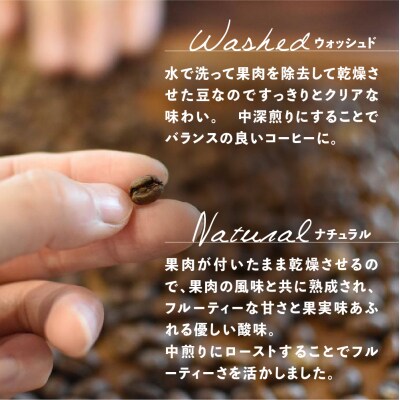 「Kaung day」ミャンマー スペシャルティコーヒー豆 2種セット【98-1】