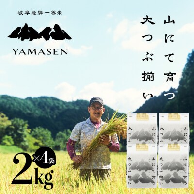 (2026年10月中旬から順次発送)【2026年産】すがたらいす 山仙 2kg×4袋【51-20】