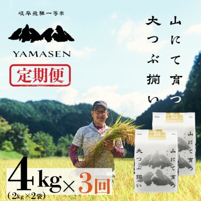  (2026年10月から毎月発送)【2026年産】【定期便】山仙2kg×2×3回【51-F】