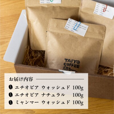 スペシャルティコーヒー豆 100g×3 種飲み比べセット コーヒー豆 珈琲 【102-1】