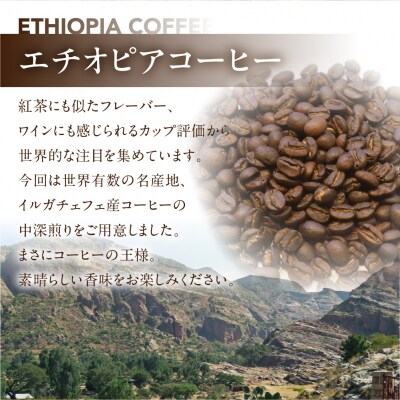 スペシャルティコーヒー豆 100g×3 種飲み比べセット コーヒー豆 珈琲 【102-1】
