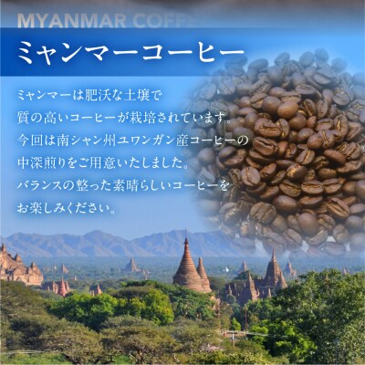スペシャルティコーヒー豆  ミャンマーウォッシュド 200g×2【102-4】