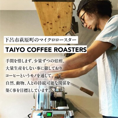 スペシャルティコーヒー豆  ミャンマーウォッシュド 200g×2【102-4】