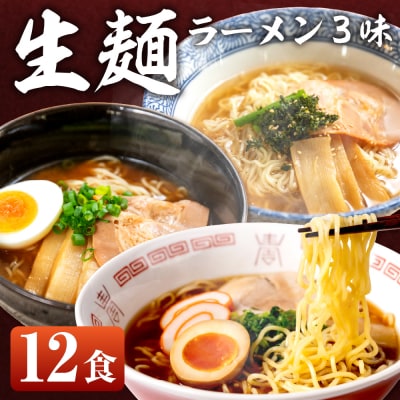 【訳あり】簡易包装 飛騨高山らーめん3味セット 12食(醤油、味噌、塩)【丸中製麺所】【29-5】