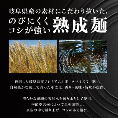 【訳あり】簡易包装 飛騨高山らーめん3味セット 12食(醤油、味噌、塩)【丸中製麺所】【29-5】