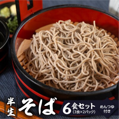 【訳あり】簡易包装 半生そば 3食×2パック めんつゆ付き 6食セット【丸中製麺所】【29-8】