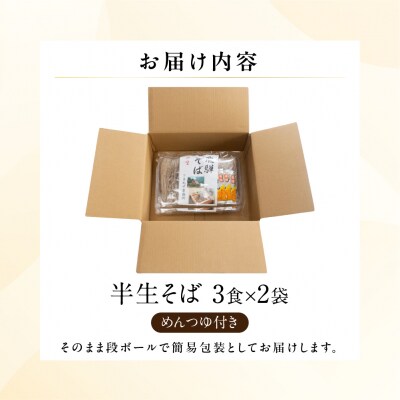 【訳あり】簡易包装 半生そば 3食×2パック めんつゆ付き 6食セット【丸中製麺所】【29-8】