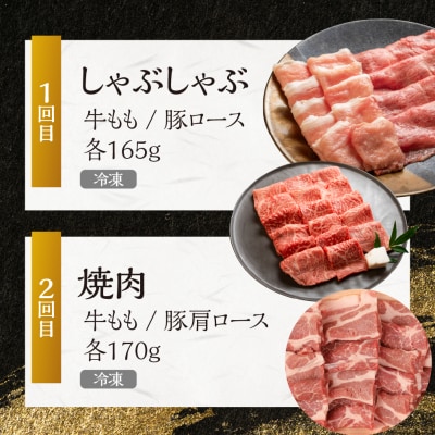 【定期便2回】 飛騨牛&納豆喰豚 お楽しみ定期便(しゃぶしゃぶ用、焼肉用)天狗 【11-S】