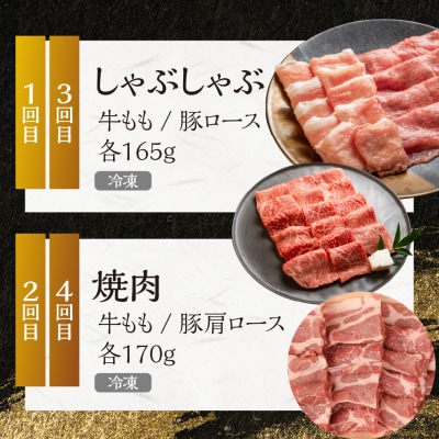 【定期便4回】 飛騨牛&納豆喰豚 お楽しみ定期便(しゃぶしゃぶ用、焼肉用)天狗 【11-T】