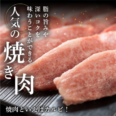 【3月配送】菊の井 飛騨牛カルビ焼肉 500g(4～5人前)【冷凍】 【70-10【3】】