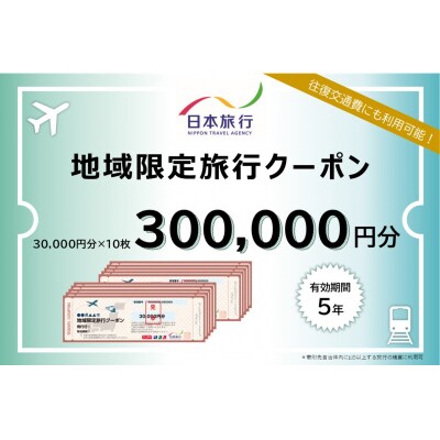 【岐阜県下呂市】日本旅行 地域限定 旅行クーポン300,000円分【b001-6】