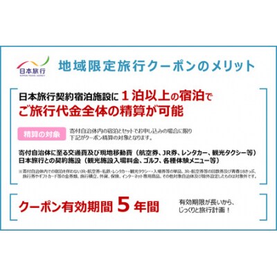 【岐阜県下呂市】日本旅行 地域限定 旅行クーポン300,000円分【b001-6】