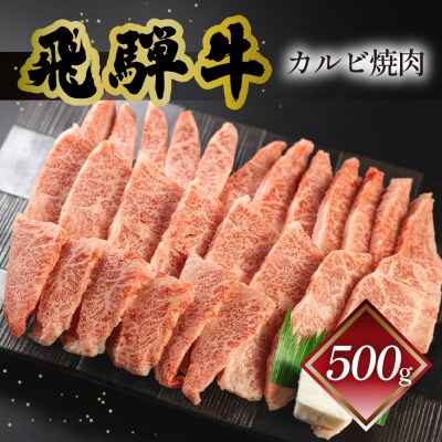 【2026年12月21日～27日発送】 菊の井 飛騨牛カルビ焼肉 500g【冷凍】【70-10nt】