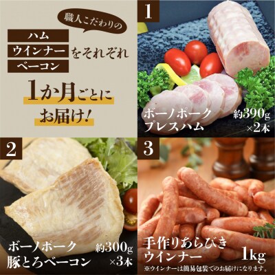 【定期便 3回】飛騨味職人「ボーノポーク満喫定期便」定期 毎月 3カ月【57-E】