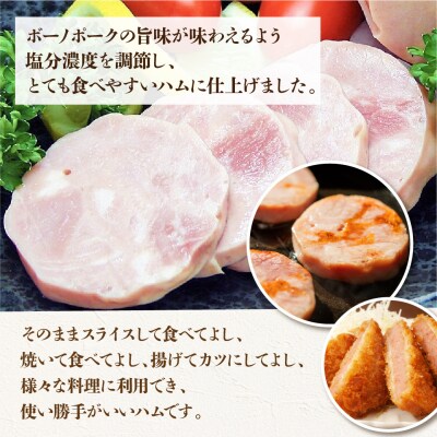 【定期便 3回】飛騨味職人「ボーノポーク満喫定期便」定期 毎月 3カ月【57-E】