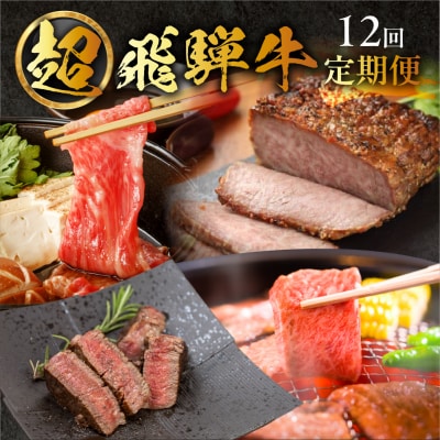 【定期便 12回】飛騨牛満喫 12ヵ月定期便 おすすめ 定期 毎月 ブランド牛 12カ月【tc9】