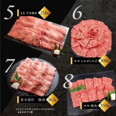 【定期便 12回】飛騨牛満喫 12ヵ月定期便 おすすめ 定期 毎月 ブランド牛 12カ月【tc9】