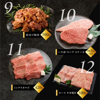 【定期便 12回】飛騨牛満喫 12ヵ月定期便 おすすめ 定期 毎月 ブランド牛 12カ月【tc9】