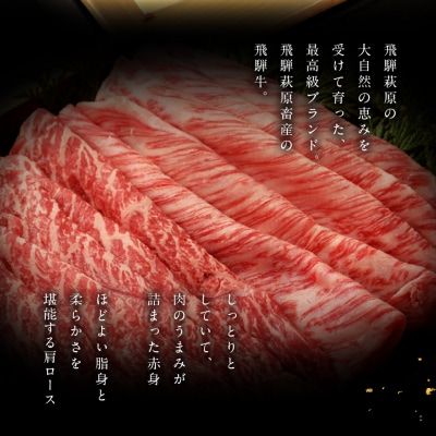 【2026年12月21日～27日発送】飛騨牛すき焼用(肩もも 計500g)【冷凍】【22-7nt】