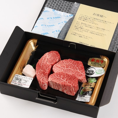 年末発送【2026年12月21日～27日発送】飛騨牛ヒレステーキ 120g×3枚【22-18nt】