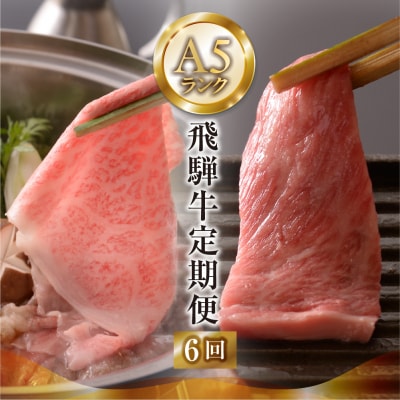【定期便 6回】高級 飛騨牛食べ比べ 定期便 6カ月 毎月 【冷蔵配送】【39-A】