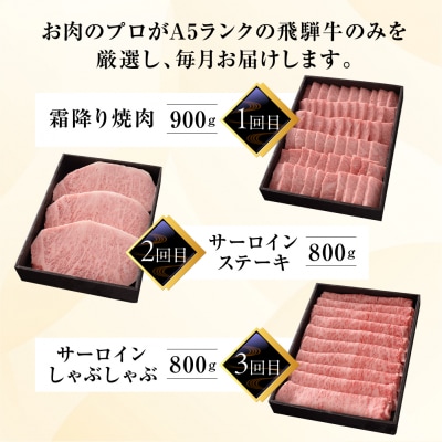 【定期便 6回】高級 飛騨牛食べ比べ 定期便 6カ月 毎月 【冷蔵配送】【39-A】