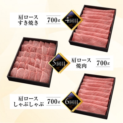 【定期便 6回】高級 飛騨牛食べ比べ 定期便 6カ月 毎月 【冷蔵配送】【39-A】