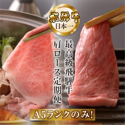 【定期便 3回】高級 飛騨牛食べ比べ 定期便 3カ月 毎月 【冷蔵配送】【39-B】