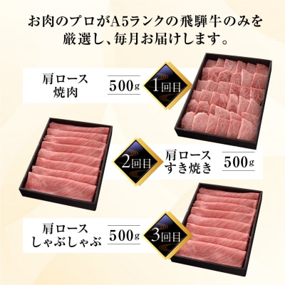【定期便 3回】高級 飛騨牛食べ比べ 定期便 3カ月 毎月 【冷蔵配送】【39-B】