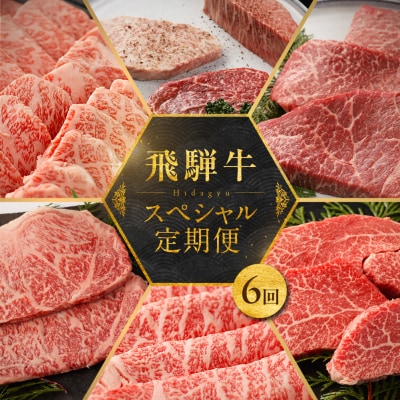 【定期便 6回】飛騨牛食べ尽くし定期便 6カ月(飛騨牛すき焼き 焼肉 ステーキ )【22-B】