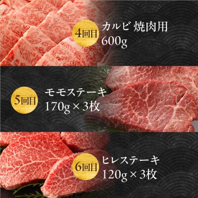 【定期便 6回】飛騨牛食べ尽くし定期便 6カ月(飛騨牛すき焼き 焼肉 ステーキ )【22-B】