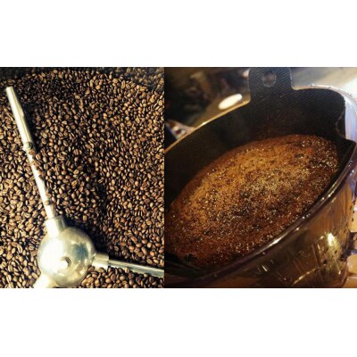 緑の館 / フレンチ豆 300g×2(600g)【17-94】