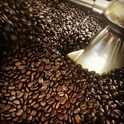 緑の館 / イタリアン豆 300g×2(600g)【17-95】