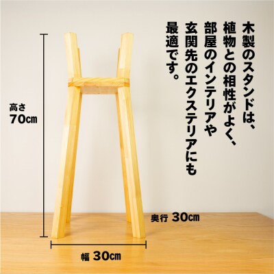 プラントスタンド(大)(高さ70cm 幅30cm 奥行30cm) 【62-21】