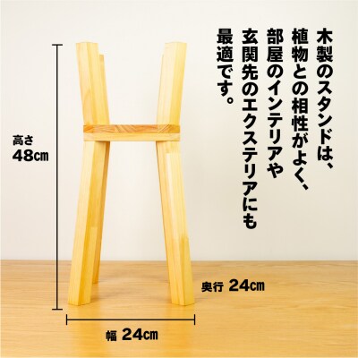 プラントスタンド(小)(高さ48cm 幅24cm 奥行24cm)【62-22】