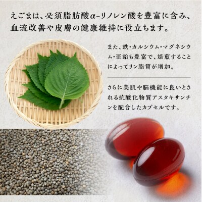 えごまオイル ソフトカプセル 1袋 120粒入り (1カ月分)えごま油【40-7】