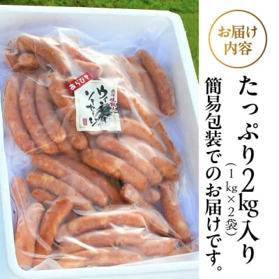 【飛騨 味職人】手作りあらびきウインナー 2kg【57-22】