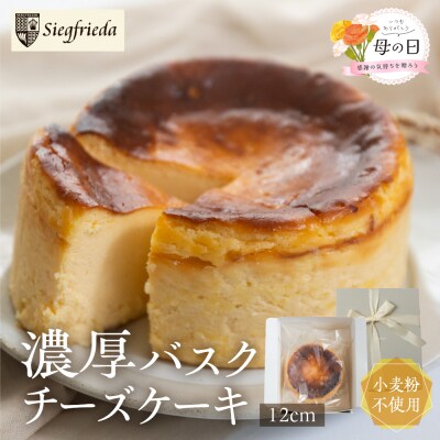 【母の日までに届く2026年5月7日～9日発送】バスクチーズケーキ 12cm×12cm【32-4m】